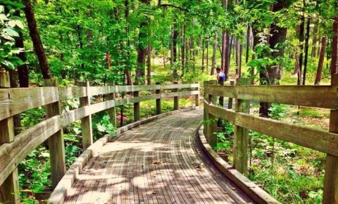Take A Family Nature Walk At Friendship Loop Trail In Arkansas