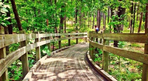 Take A Family Nature Walk At Friendship Loop Trail In Arkansas