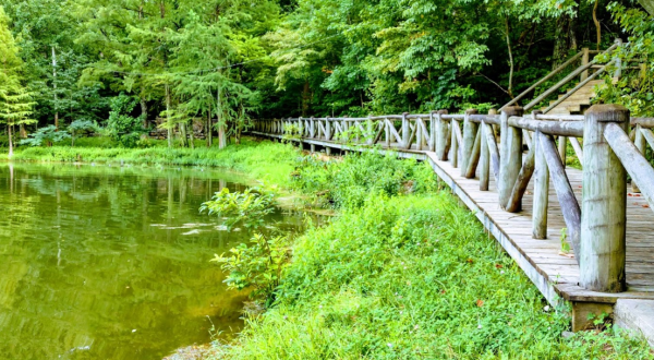 Lake Ponder Boardwalk Trail In Arkansas Leads To Incredibly Scenic Views