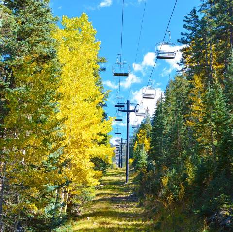 Experience Arizona's Fall Colors From Above On The Snowbowl Ski Resort Gondola