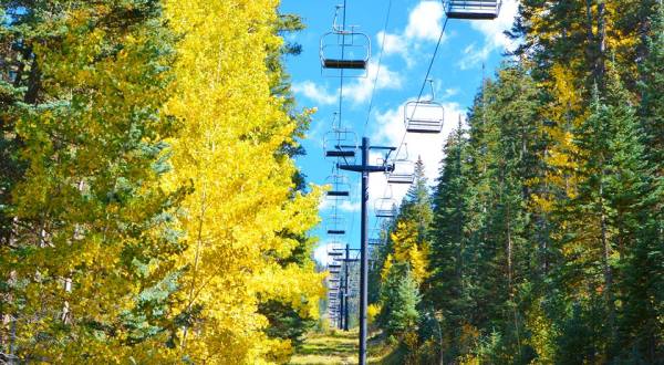 Experience Arizona’s Fall Colors From Above On The Snowbowl Ski Resort Gondola