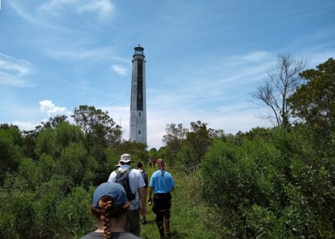 Take The Rare Cape Romain Lighthouse Island Tour To Visit Two Isolated Lighthouses Along The South Carolina Coast