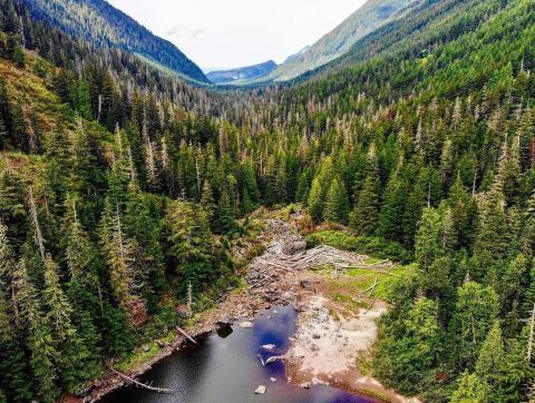 7 Of The Greatest Mountain Hiking Trails In Washington For Beginners