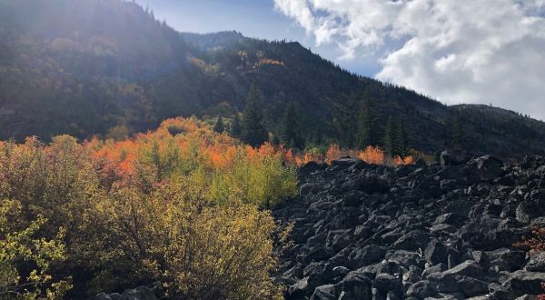 Changing Leaves And Wildlife Await You On These 5 Scenic Fall Hikes In Montana