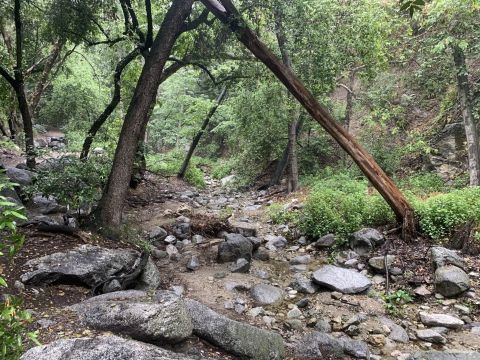 Monrovia Falls Is A Beginner-Friendly Waterfall Trail In Southern California That's Great For A Family Hike