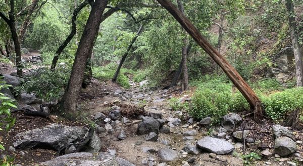 Monrovia Falls Is A Beginner-Friendly Waterfall Trail In Southern California That’s Great For A Family Hike
