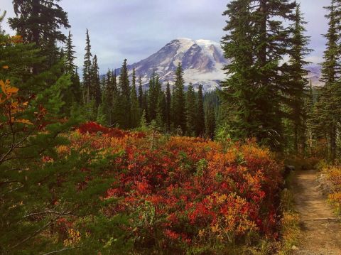 Pinnacle Peak Will Take You To The Most Spectacular Fall Foliage In Washington