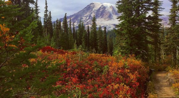 Pinnacle Peak Will Take You To The Most Spectacular Fall Foliage In Washington