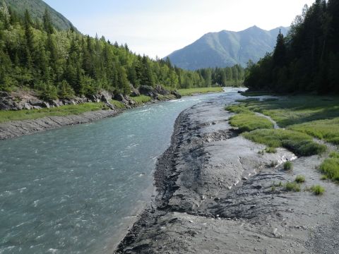 Follow Bird Valley Trail For A Easy Day Hike In The Alaskan Mountains