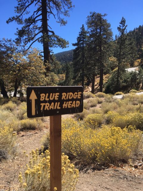 The 4-Mile Blue Ridge Trail In Southern California Takes You Through The Enchanting Angeles National Forest