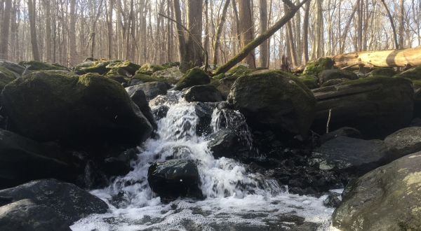 Eastern Loop Is A Beginner-Friendly Waterfall Trail In Delaware