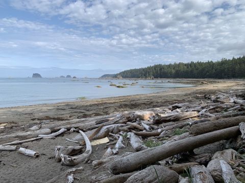 The Ozette Triangle Trail In Washingon Leads To Incredibly Scenic Views