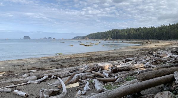 The Ozette Triangle Trail In Washingon Leads To Incredibly Scenic Views