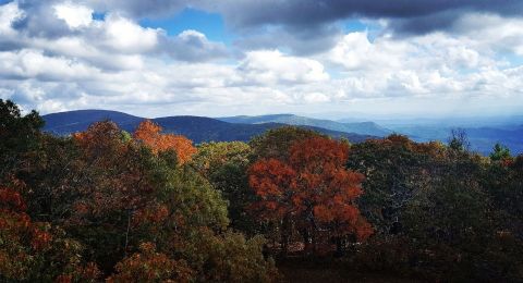 The 5 Mile Grassy Mountain Tower Trail Is A Beautiful And Easy Trail To Take In Georgia