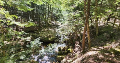 Sabbaday Falls Is A Beginner-Friendly Waterfall Trail In New Hampshire That's Great For A Family Hike