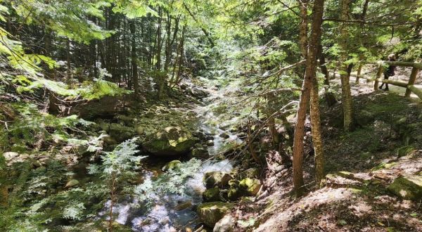 Sabbaday Falls Is A Beginner-Friendly Waterfall Trail In New Hampshire That’s Great For A Family Hike