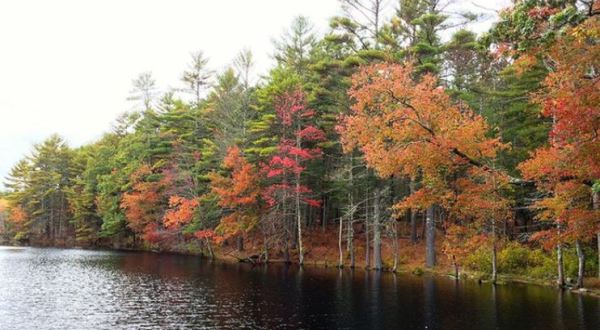 A Hike Through Fisher Brook Wildlife Refuge Will Take You To The Most Spectacular Fall Foliage In Rhode Island