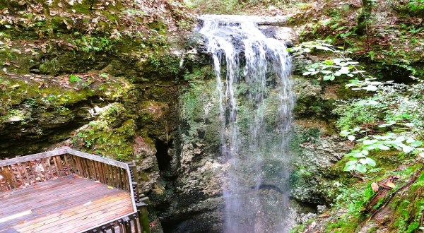 See The Tallest Waterfall In Florida At Falling Waters State Park