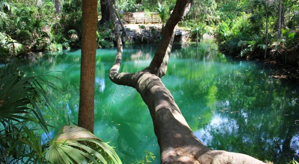 The Emerald-Colored Springs At Green Springs Park In Florida Are A Natural Wonder