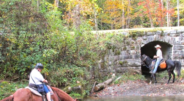 Enjoy Fall’s Beauty On A Horseback Waterfall Tour At Smokemont Riding Stables In North Carolina