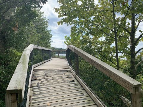 Bayview Trail Is A Boardwalk Hike In Virginia That Leads To Incredibly Scenic Views
