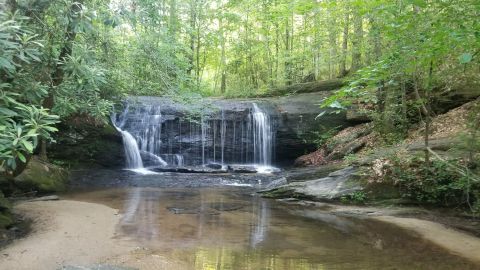 Wildcat Wayside Nature Trail Is A Beginner-Friendly Waterfall Trail In South Carolina That's Great For A Family Hike