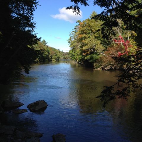 The Presumpscot River Trail Is A 2.5-Mile Walk In Maine That's Better Than Meditation