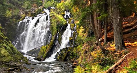 For A Beautiful Fall Road Trip, Take The Oregon Highway Of Waterfalls