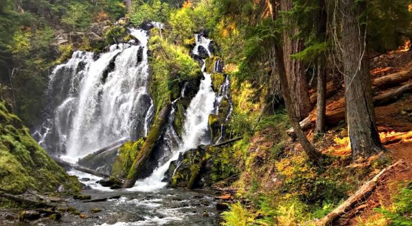 For A Beautiful Fall Road Trip, Take The Oregon Highway Of Waterfalls