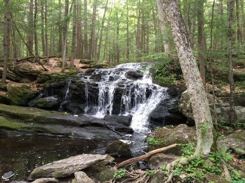 The 1-Mile Tucker Brook Falls Trail In New Hampshire Takes You Through A Beautiful Wooded Landscape