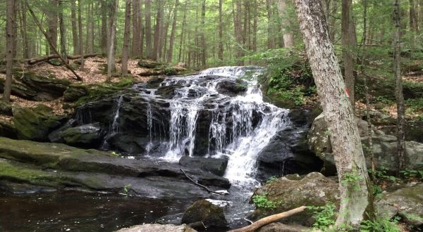 The 1-Mile Tucker Brook Falls Trail In New Hampshire Takes You Through A Beautiful Wooded Landscape