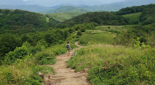 7 Of The Greatest Mountain Hiking Trails In North Carolina For Beginners
