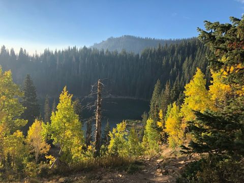 For A Pretty Fall Picnic, Take The Short Trail To Bloods Lake In Utah