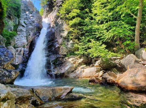 10 Of The Greatest Scenic Hiking Trails In New Hampshire For Beginners