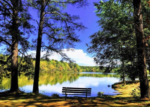 This Peaceful Hike Takes You To Ed Lisenby Lake In Alabama