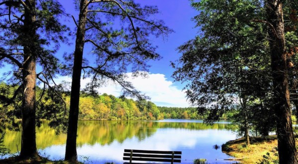 This Peaceful Hike Takes You To Ed Lisenby Lake In Alabama