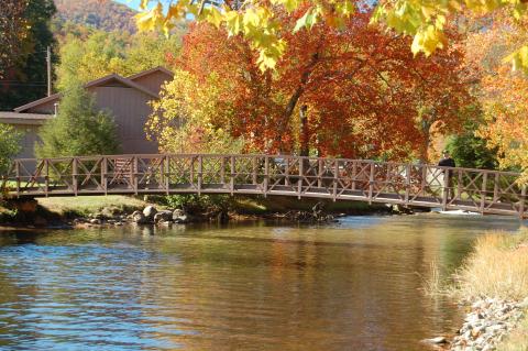 8 Autumn Hiking Spots In Georgia That Will Level Up Your Fall Experience
