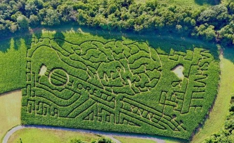 Get Lost In The Awesome Tennessee Corn Maze This Fall At Honeysuckle Hill Farm