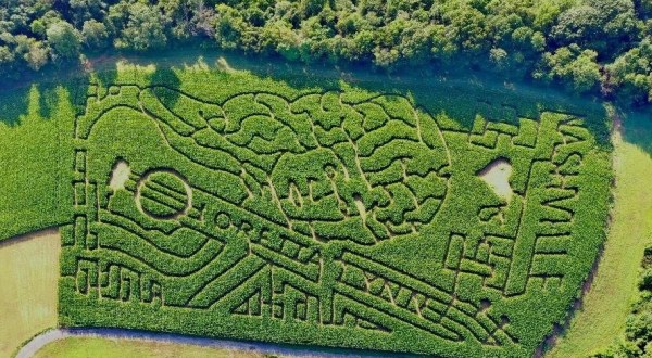 Get Lost In The Awesome Tennessee Corn Maze This Fall At Honeysuckle Hill Farm