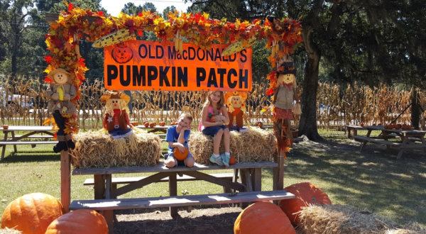 Old Macdonald’s Farm In Texas Has A Fall Festival That’s Fun For The Whole Family
