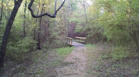 Get Outside And Reconnect With Nature Along The Meadowbrook Trail In Arkansas