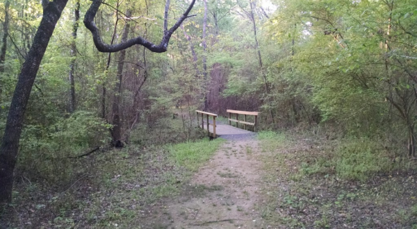 Get Outside And Reconnect With Nature Along The Meadowbrook Trail In Arkansas