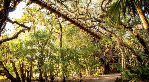 The Longest Elevated Canopy Walk In Florida Can Be Found At Myakka State Park