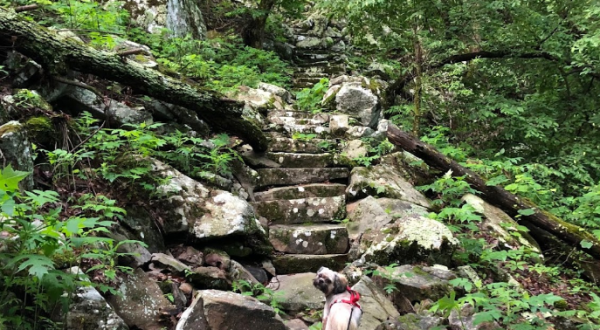 The Stairway To Nowhere Along Arkansas’ Nebo Steps Trail Is A Magical Woodland Adventure