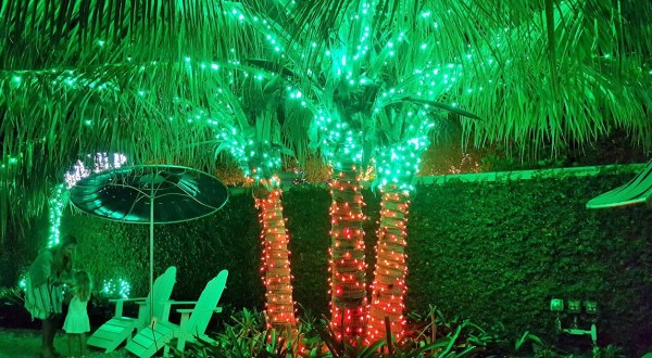 Take An Enchanting Winter Walk Through Holiday Lights In The Gardens In Florida