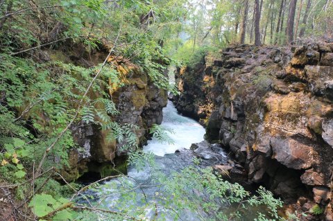 Oregon's Rogue River Gorge Is A Beautifully Brilliant Green