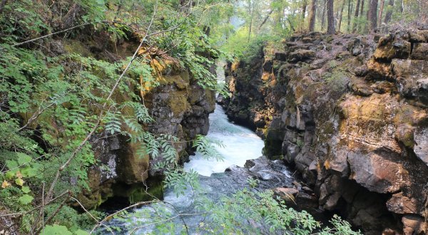 Oregon’s Rogue River Gorge Is A Beautifully Brilliant Green
