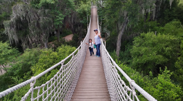 Hike Through A Cemetery, Whimsical Moss Trees, And A Suspension Bridge At Santa Ana Wildlife Refuge In Texas