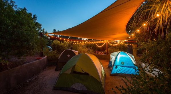 Spend The Night At The Phoenix Zoo In Arizona For An Evening Of Wild Fun