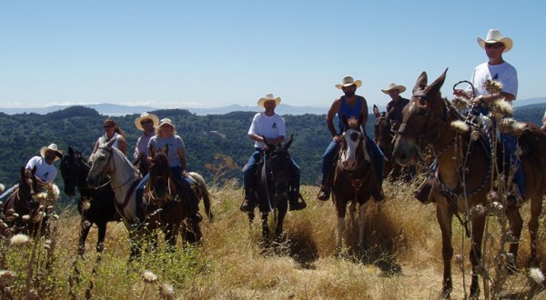 Tour North Carolina’s Cowboy Capital, Love Valley, Via Horseback On This Brushy Mountain Horseback Adventure